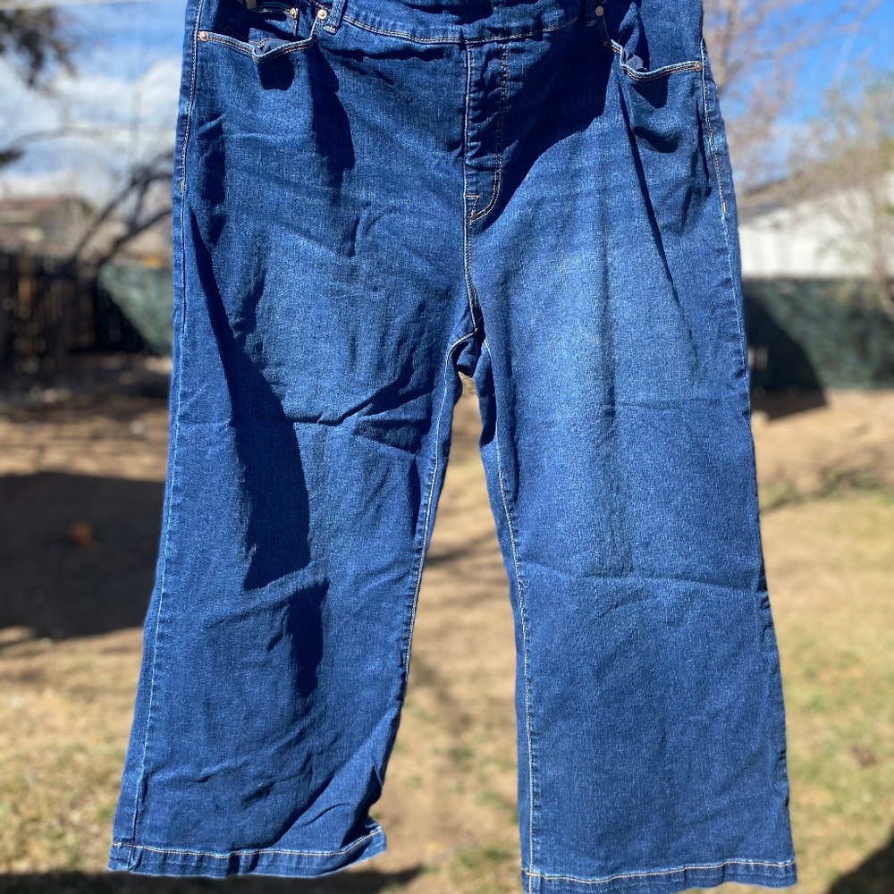 Weekender Lane Bryant Jeans—Melissa McCarthy 7 brand size 24